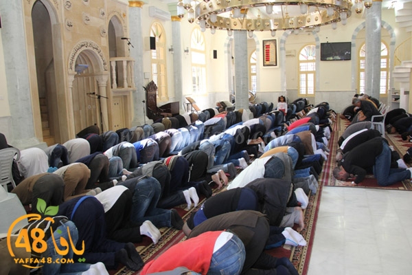 Kosoof salah (5).JPG